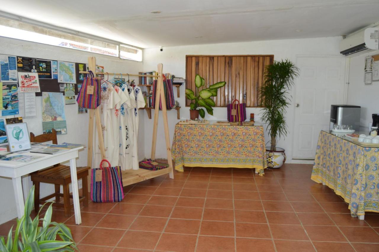 Hotel Indalo Adults Only Puerto Viejo de Talamanca ภายนอก รูปภาพ