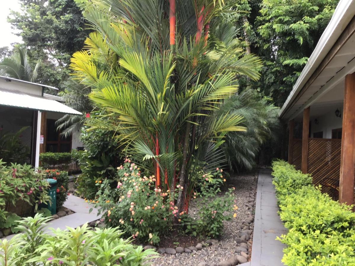 Hotel Indalo Adults Only Puerto Viejo de Talamanca ภายนอก รูปภาพ