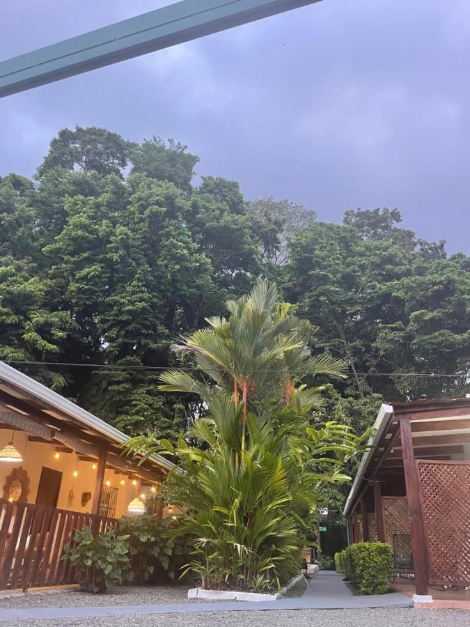 Hotel Indalo Adults Only Puerto Viejo de Talamanca ภายนอก รูปภาพ
