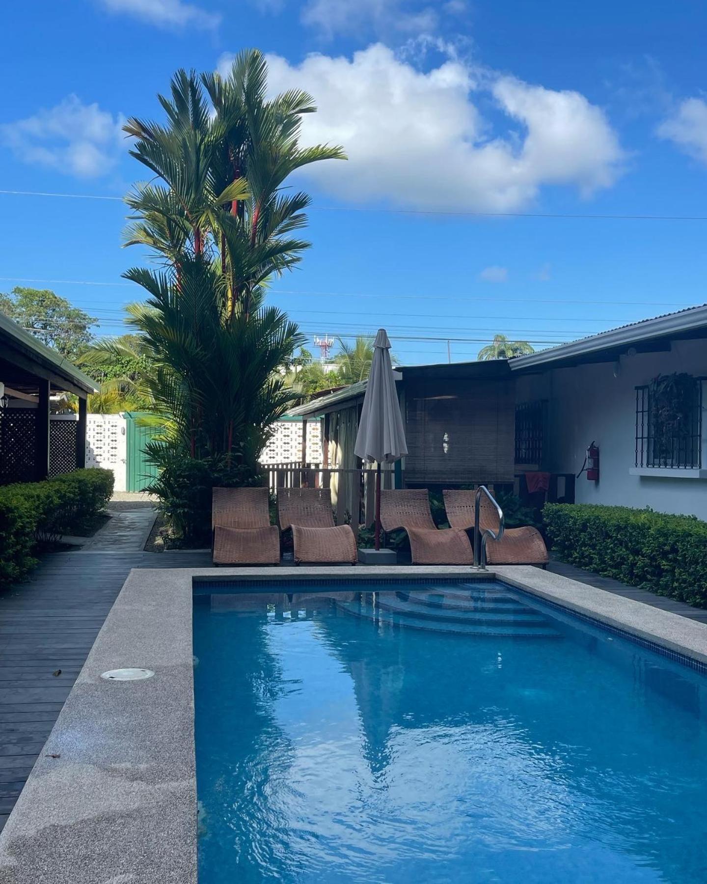 Hotel Indalo Adults Only Puerto Viejo de Talamanca ภายนอก รูปภาพ