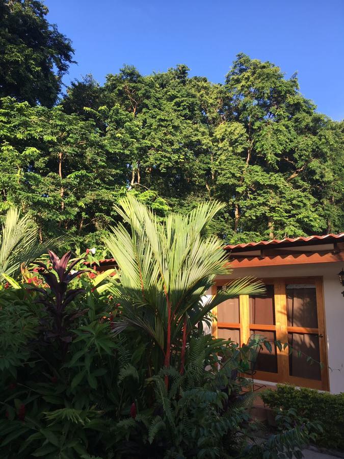 Hotel Indalo Adults Only Puerto Viejo de Talamanca ภายนอก รูปภาพ