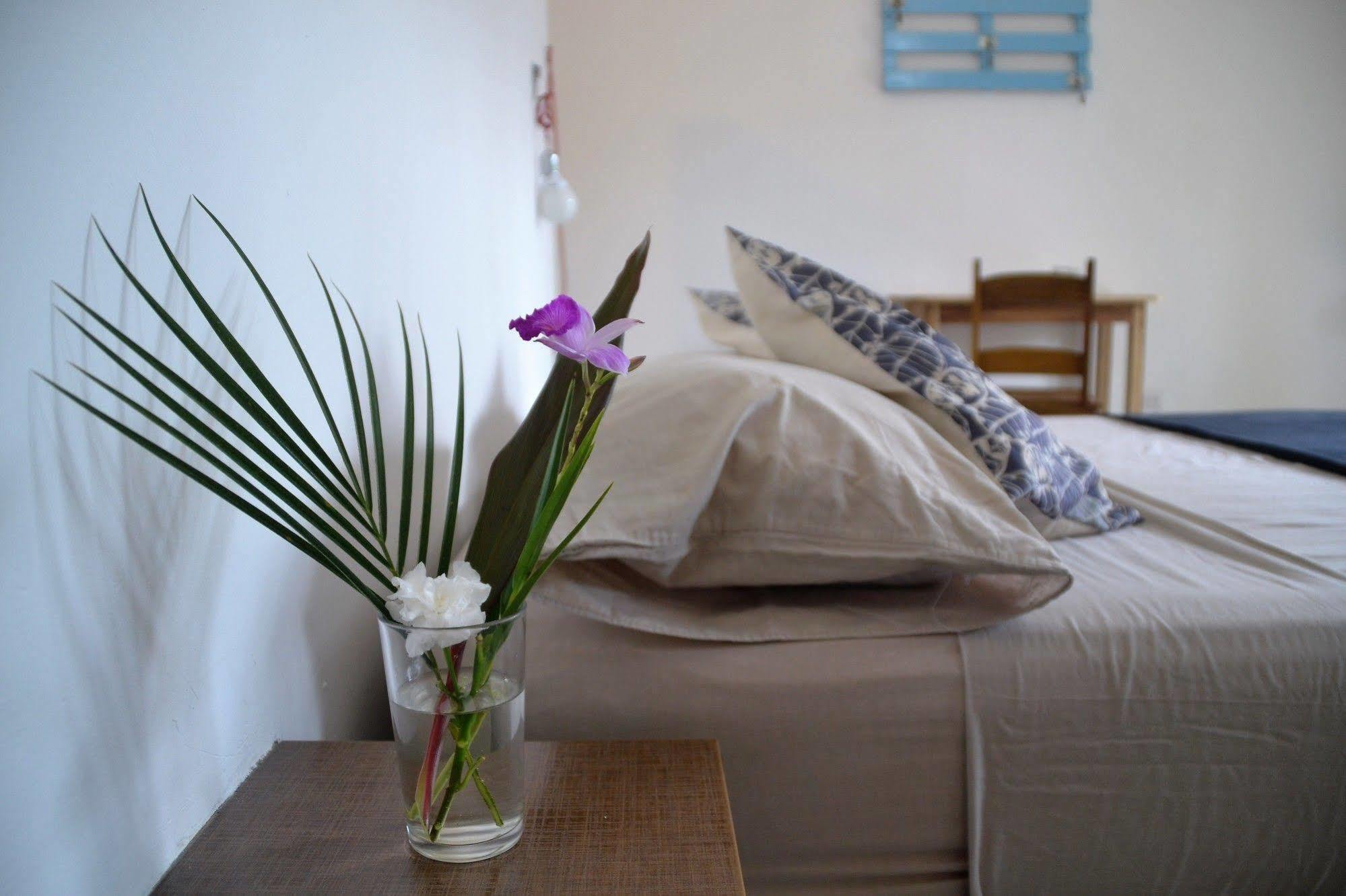Hotel Indalo Adults Only Puerto Viejo de Talamanca ภายนอก รูปภาพ